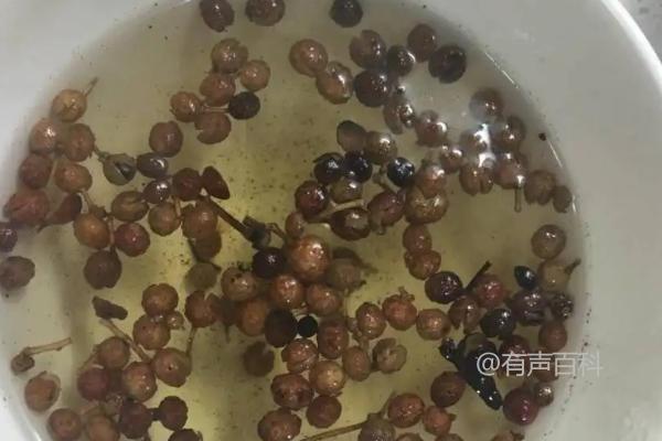 20种不使用农药的有效杀虫方法