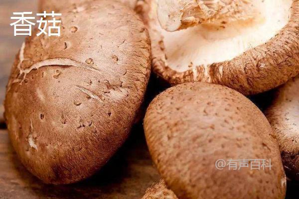 草菇如何保存：禁止冰箱保存，以免冷害 