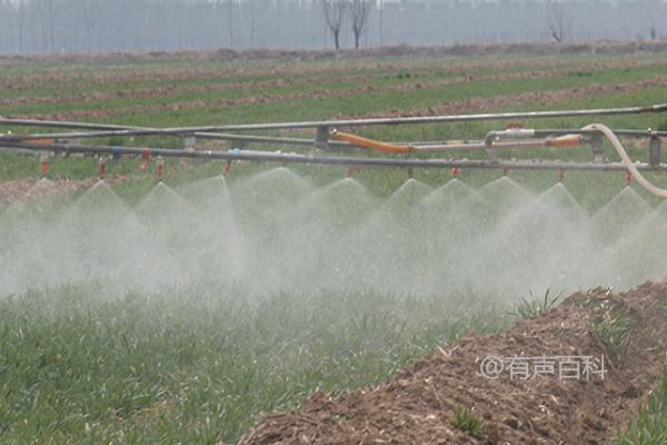 稀草铜除草剂喷洒后多久能够见到效果？