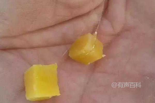 野钓草鱼的饵料选择及使用技巧