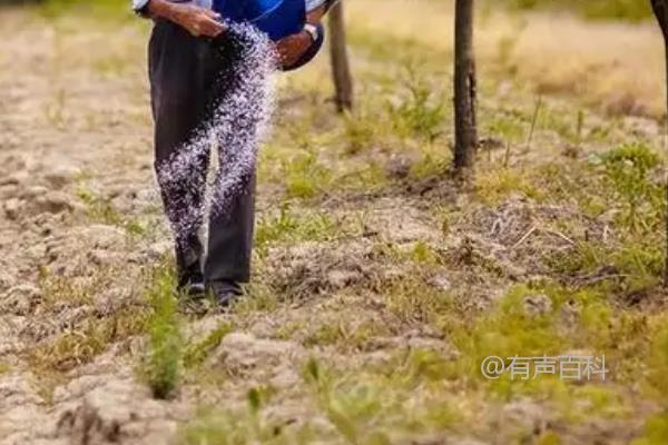 植物为何需要施用氮肥