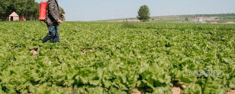 噻虫嗪的防治对象及效果：防治蚜虫、飞虱、叶