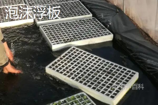 无土栽培技术在不同领域中的推广应用分析