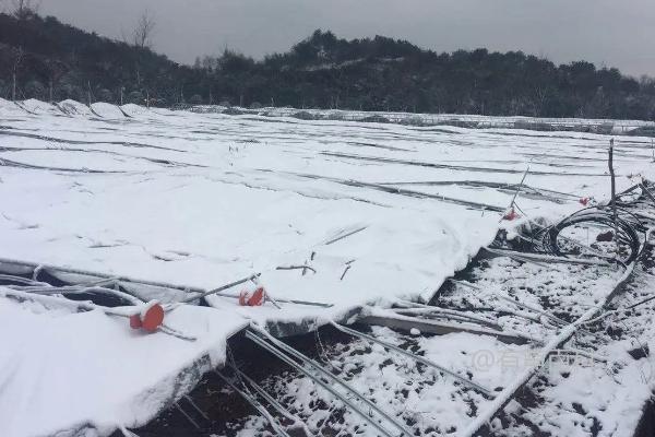 当大棚被雪压塌后，可以尝试重新搭建吗