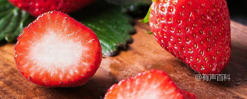 草莓成熟时间及生长过程说明