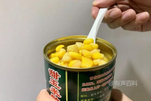 甜玉米的加工产品有哪些，如何制作罐装食品和饮料