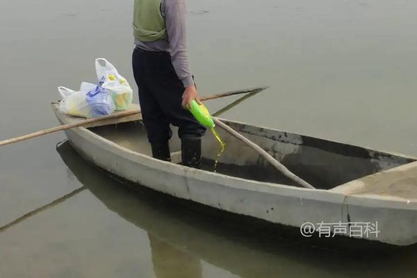 黄骨鱼养殖技巧详解