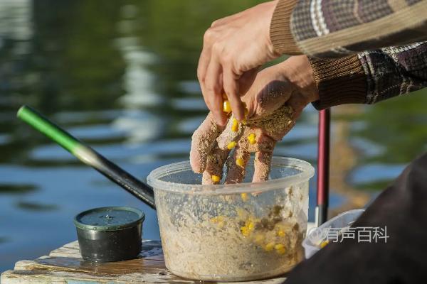 钓鱼技巧：甜菜碱的正确使用方法