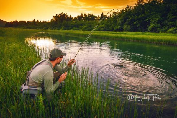 夏季钓鱼技巧：适合钓底还是钓浮，温度、光线和气压的影响分析