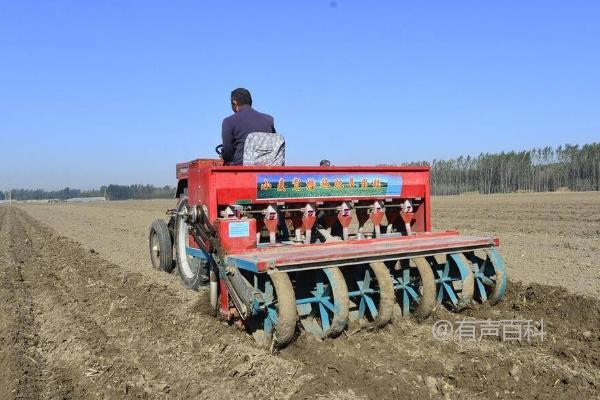 小麦半精量播种技术及土壤肥力要求