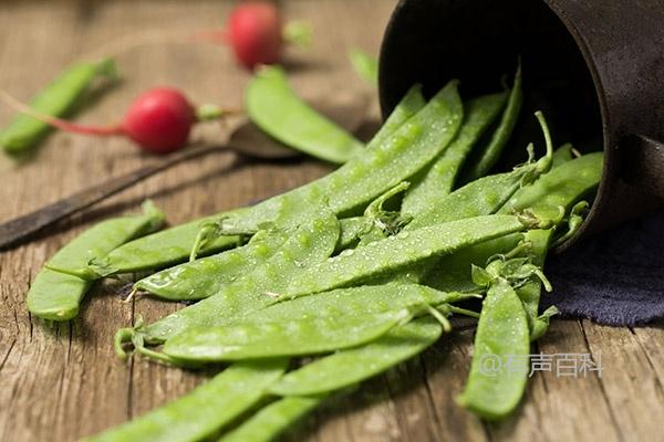 荷兰豆种植技术与管理，荷兰豆种植时间选择与气候条件相关