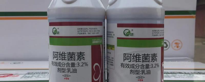 阿维菌素用于治疗哪些虫害 法效果最佳