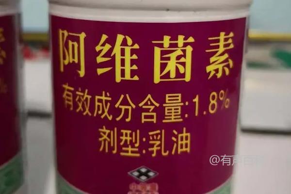 阿维菌素用于治疗哪些虫害 法效果最佳