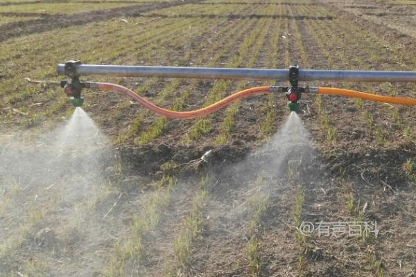 在旱地使用乙草胺要注意什么，先浇水再打药可提高药效

- 在旱地使用乙草胺时，需要注意以下几点：
  1. **选择合适的气象条件**：避免在干燥、高温的天气使用，以免影响药效。
  2. **注意草坪湿度**：确保草坪表面有足够的湿度，可以考虑在使用前浇水，但不要过湿。
  3. **遵循正确的用药量**：按照说明书上的建议用药量使用，不要超量或少量使用。
  4. **安全使用**：在使用乙草胺时，请佩戴防护装备，避免皮肤接触和吸入。
  
希望以上建议能帮助您更好地在旱地使用乙草胺。