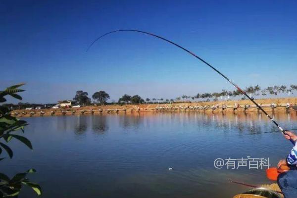 浮钓翘嘴适合什么鱼钩，伊势尼钩效果好