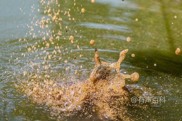 浮钓翘嘴适合什么鱼钩，伊势尼钩效果好