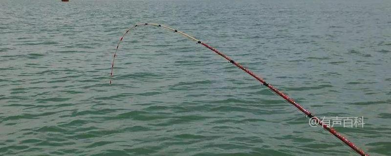 八工竿是一种常用的钓鱼工具，具有以下特点：
