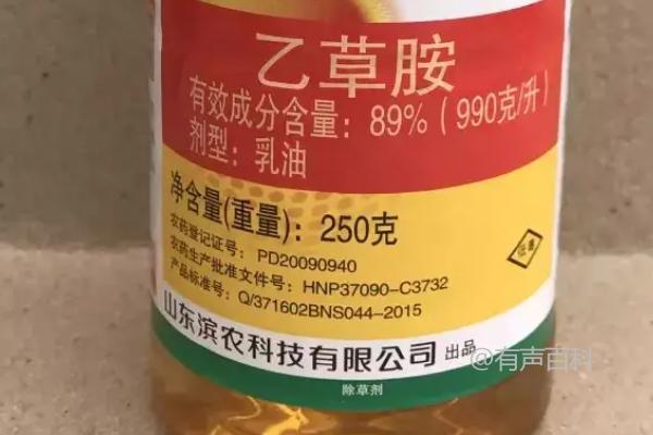 玉米出苗后是否可以使用乙草胺？