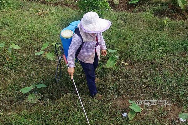 精喹禾灵的用途、用法和功效