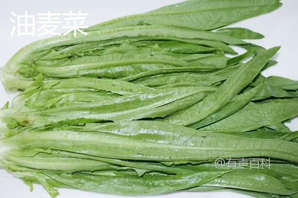 油麦菜与油菜的区别是什么？