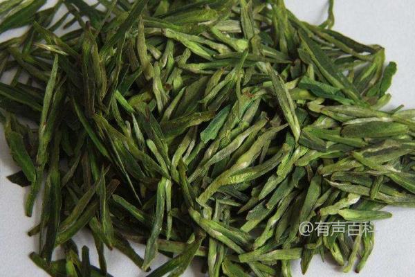 龙井茶是绿茶吗？有何功效？