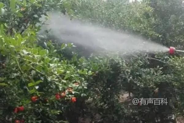 仲丁灵除草剂使用说明书