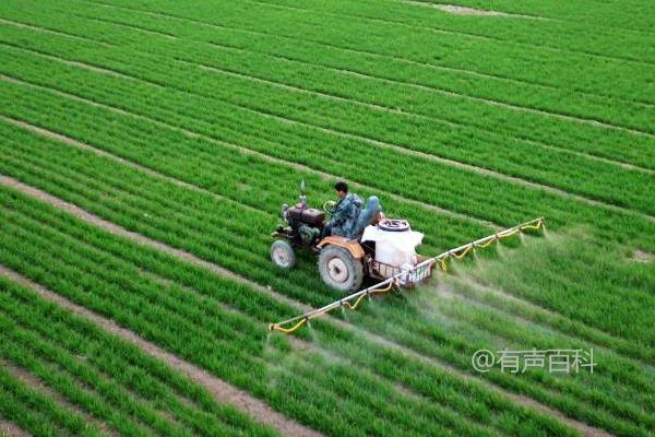 草甘膦异丙胺盐和草甘膦铵盐的区别及使用效果对比