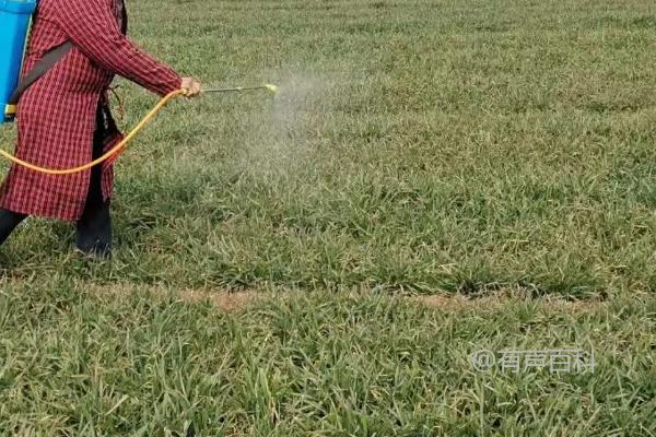 氯吡嘧磺隆的使用方法及不同作物的用药量