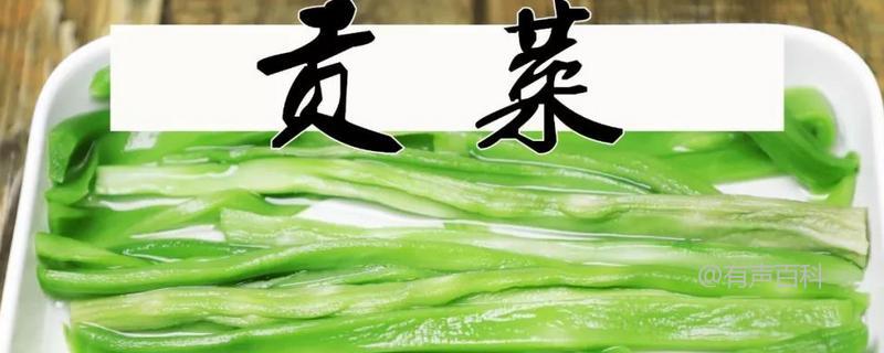 # 贡菜与榨菜的区别及介