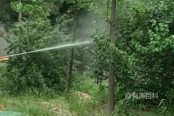 生物农药的使用要点和喷药时间选择建议