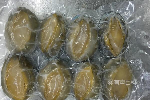 如何处理鲍鱼壳 - 高效利用鲍鱼壳的方法