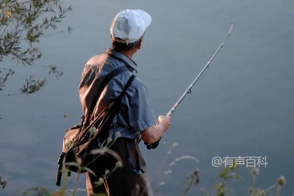 立冬后钓鲶鱼技巧：选择腥味浓烈的饵料