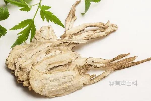 种什么药材利润大且销路畅通，了解一下白术