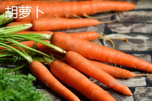 豚鼠的食物包括各种植物和一些特定的食物。它们主要以新鲜的草、叶子、树枝和水果为食。豚鼠也需要摄入维生素C，因此新鲜的水果和蔬菜对它们来说非常重要。此外，它们还可以食用一些特定的干燥食物，如干草、干果和豚鼠专用的饲料。确保提供给豚鼠的食物新鲜、干净，并符合它们的营养需求。