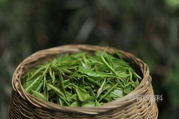 各地谷雨习俗大揭秘: 谷雨天吃什么最佳？