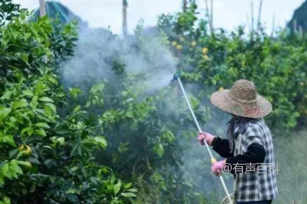 甲壳质肥料混合应注意事项，禁止颠倒混配顺序