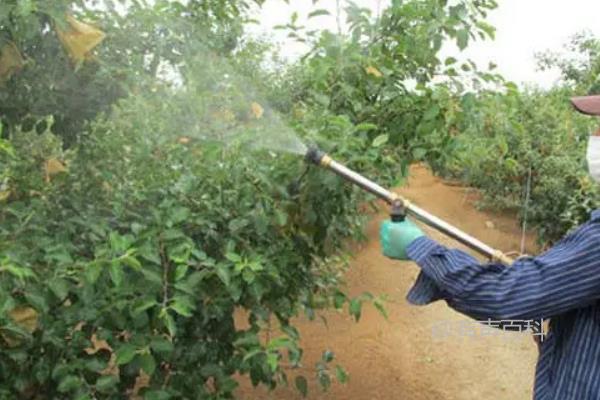 磷酸二氢钾使用频率及注意事项