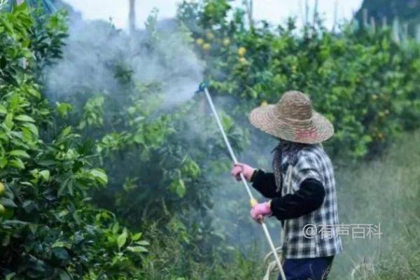 炔草酯的应用对象及主要防治范围