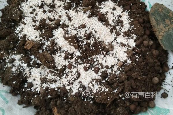 使用鸡蛋壳制作肥料，研磨后可与土壤混合