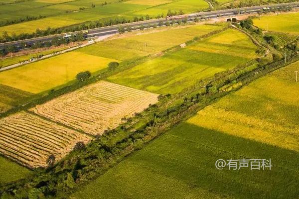 永久基本农田与基本农田的区别