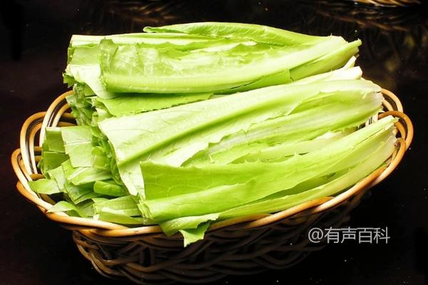 油麦菜种植技术与管理：提高产量和品质的方法