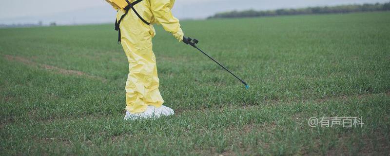 如何综合治理有害生物：利用杀菌剂、除草剂、杀虫剂，提高防效效果