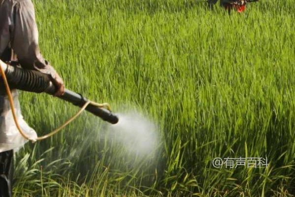 如何综合治理有害生物：利用杀菌剂、除草剂、杀虫剂，提高防效效果