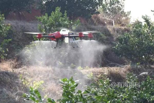 果树僵苗现象是果树栽培过程中常见的问题之一。为了防治果树僵苗现象，可以采取一些措施。首先，等待泥土解冻后再进行定植是一个好的选择。这样可以确保土壤温度适宜，有利于果树的生长和发育。此外，还可以注意以下几点：选择适宜的品种，保证苗木的质量，合理施肥，注意浇水和排水，及时处理病虫害等。这些措施有助于减少果树僵苗现象的发生，并提高果树的存活率和产量。