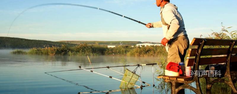 夏天钓鱼时，是应该选择近距离还是远距离呢？