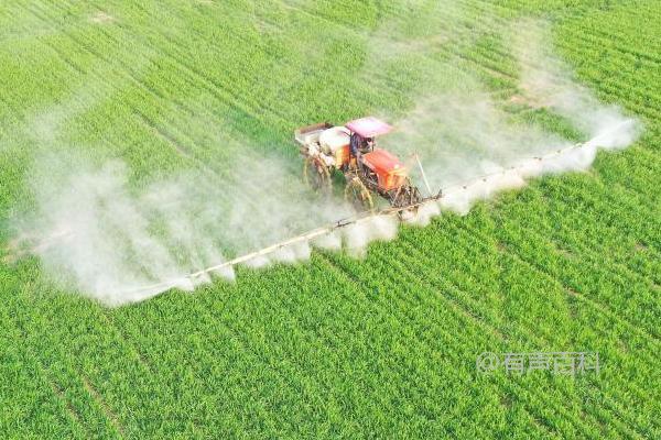 小麦冬前除草最佳时间：11月上中旬指南