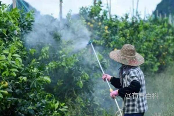 微生物菌剂的作用及好处 - 为作物提供养分，增强抗逆性能