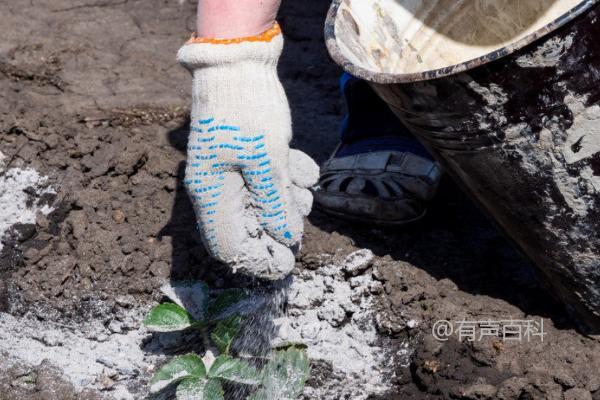 # 使用石灰进行酸化土壤治理，实现酸碱中和效果