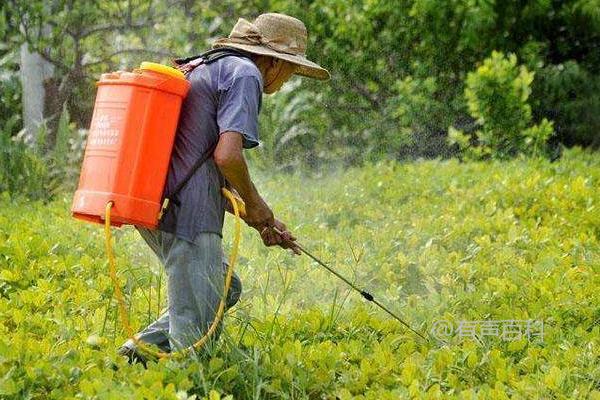 露娜森杀菌剂的使用方法及注意事项