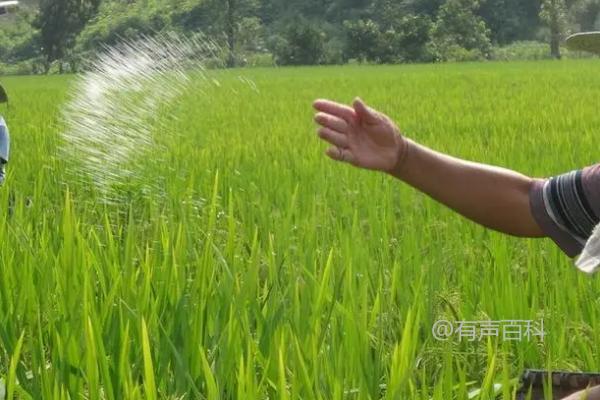 硫酸亚铁的用法及作用：花肥和除草防虫效果